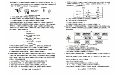 恩施州2026届高三第二次质量监测考试生物_2024-2026高三（6-6月题库）_2026年03月高三试卷_260322湖北省恩施州2026届高三第二次质量监测考试（全科）