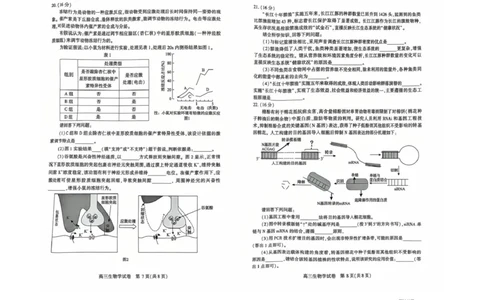恩施州2026届高三第二次质量监测考试生物_2024-2026高三（6-6月题库）_2026年03月高三试卷_260322湖北省恩施州2026届高三第二次质量监测考试（全科）