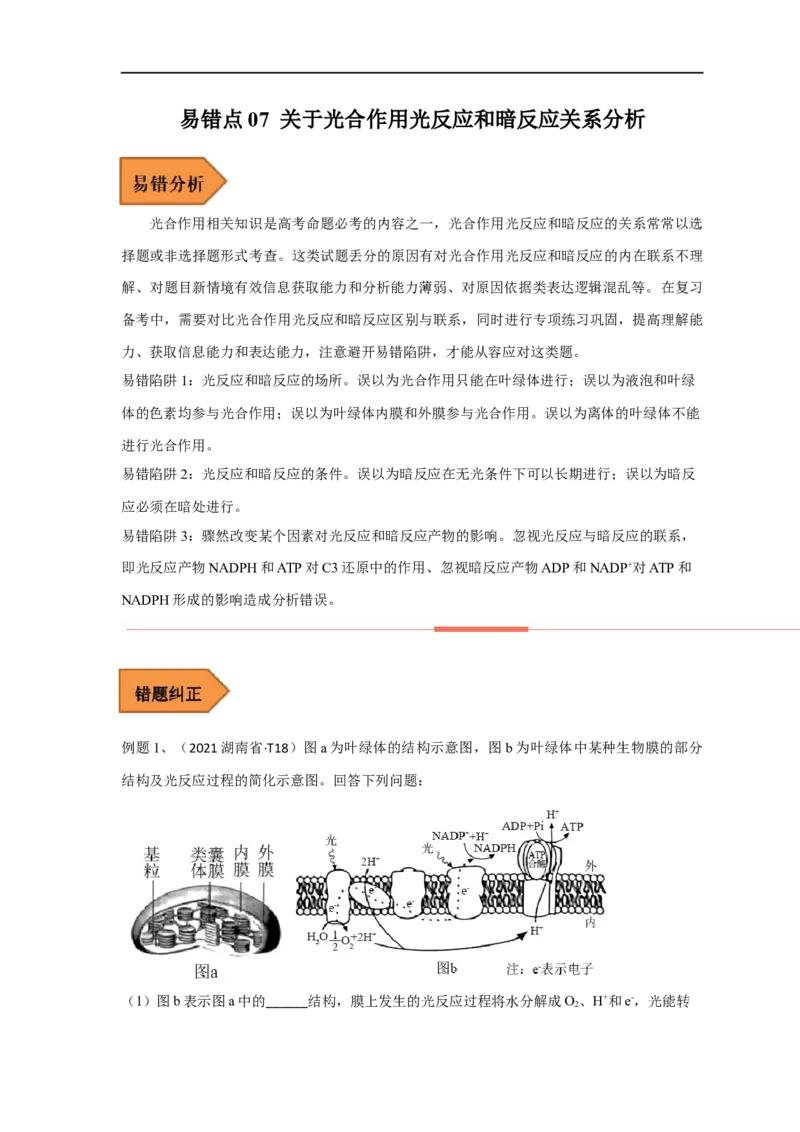 易错点07关于光合作用光反应和暗反应关系分析-备战2023年高考生物考试易错题（全国通用）（原卷版）_通用版（老高考）复习资料_2023年复习资料_专项复习