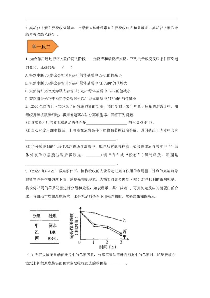 易错点07关于光合作用光反应和暗反应关系分析-备战2023年高考生物考试易错题（全国通用）（原卷版）_通用版（老高考）复习资料_2023年复习资料_专项复习