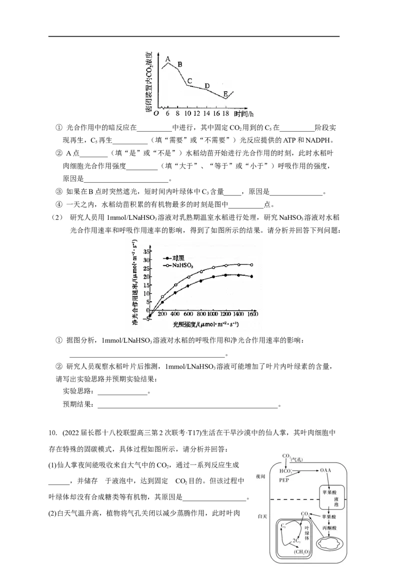 易错点07关于光合作用光反应和暗反应关系分析-备战2023年高考生物考试易错题（全国通用）（原卷版）_通用版（老高考）复习资料_2023年复习资料_专项复习