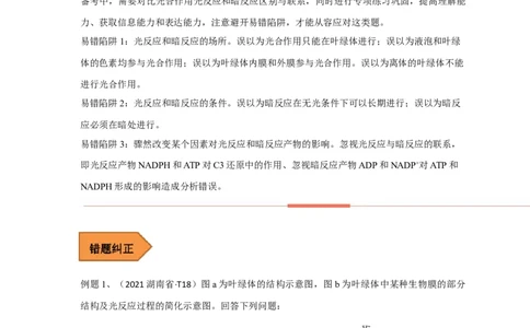 易错点07关于光合作用光反应和暗反应关系分析-备战2023年高考生物考试易错题（全国通用）（原卷版）_通用版（老高考）复习资料_2023年复习资料_专项复习