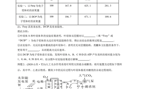 易错点07关于光合作用光反应和暗反应关系分析-备战2023年高考生物考试易错题（全国通用）（原卷版）_通用版（老高考）复习资料_2023年复习资料_专项复习