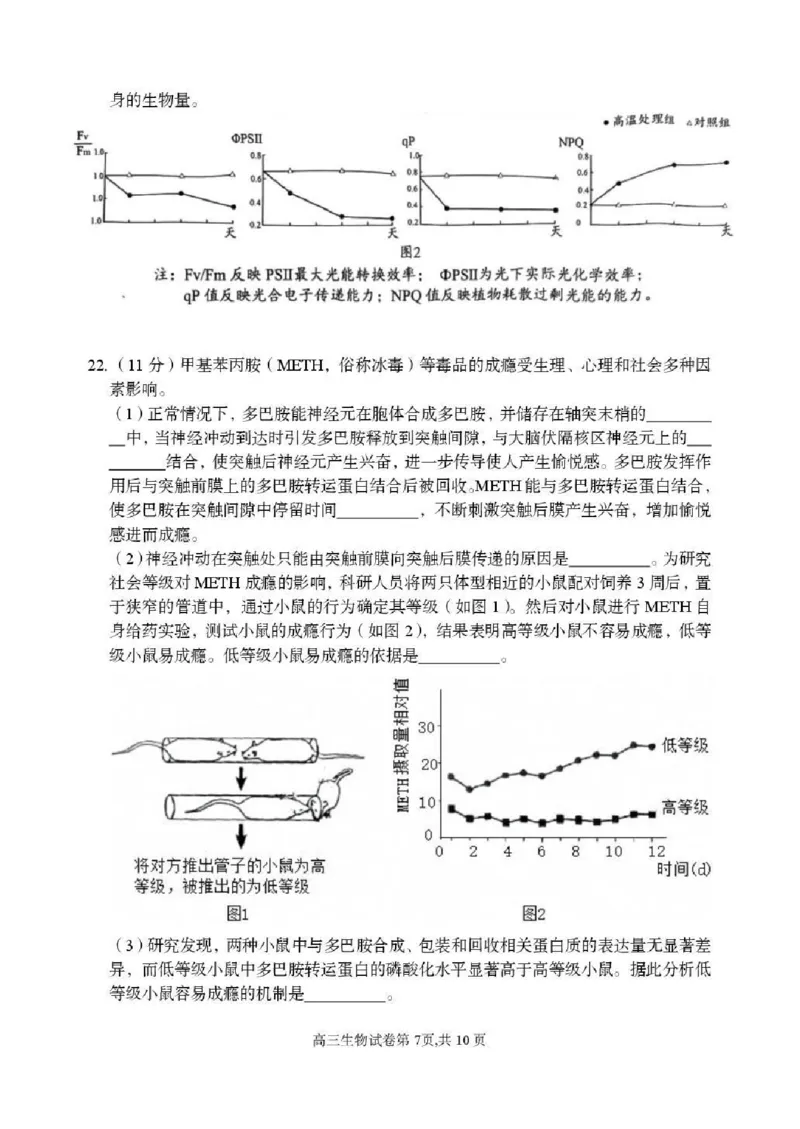 东北育才学校2025-2026学年高三下学期第六次模拟考试生物_2024-2026高三（6-6月题库）_2026年03月高三试卷_260311东北育才学校2025-2026学年高三下学期第六次模拟考试（全科）