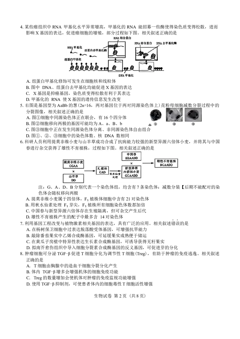江苏省南通等七市2026届高三第二次调研测试生物学试题（含答案）_2024-2026高三（6-6月题库）_2026年03月高三试卷