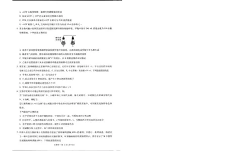 昆明市第一中学2026届高三2月复习诊断生物_2024-2026高三（6-6月题库）_2026年03月高三试卷_260301云南省昆明市第一中学2026届高三2月复习诊断（全科）