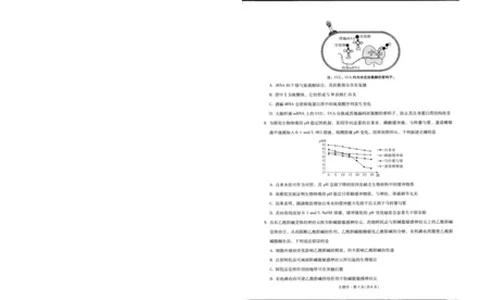 昆明市第一中学2026届高三2月复习诊断生物_2024-2026高三（6-6月题库）_2026年03月高三试卷_260301云南省昆明市第一中学2026届高三2月复习诊断（全科）