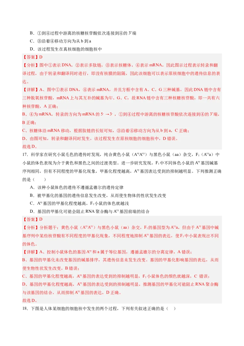 必修2模板检测卷（解析版）_2025年新高考资料_一轮复习_2025年高考生物一轮复习考点通关卷（新高考通用）_必修2模板检测卷-2025年高考生物一轮复习考点通关卷（新高考通用）