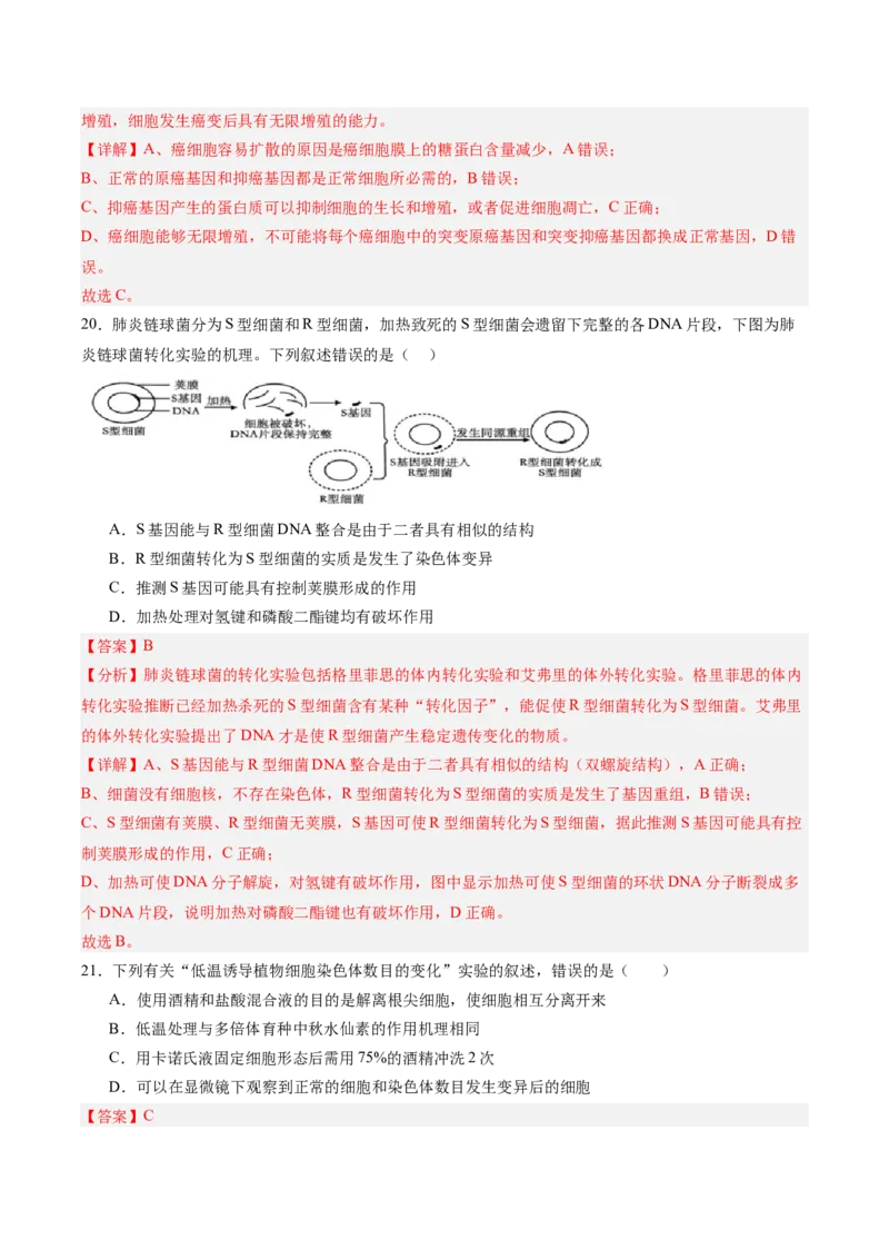 必修2模板检测卷（解析版）_2025年新高考资料_一轮复习_2025年高考生物一轮复习考点通关卷（新高考通用）_必修2模板检测卷-2025年高考生物一轮复习考点通关卷（新高考通用）