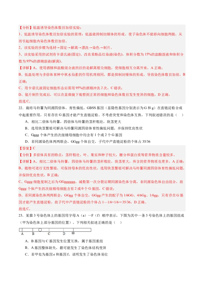 必修2模板检测卷（解析版）_2025年新高考资料_一轮复习_2025年高考生物一轮复习考点通关卷（新高考通用）_必修2模板检测卷-2025年高考生物一轮复习考点通关卷（新高考通用）