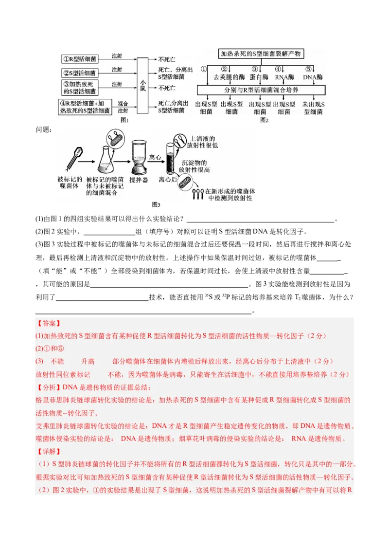 必修2模板检测卷（解析版）_2025年新高考资料_一轮复习_2025年高考生物一轮复习考点通关卷（新高考通用）_必修2模板检测卷-2025年高考生物一轮复习考点通关卷（新高考通用）