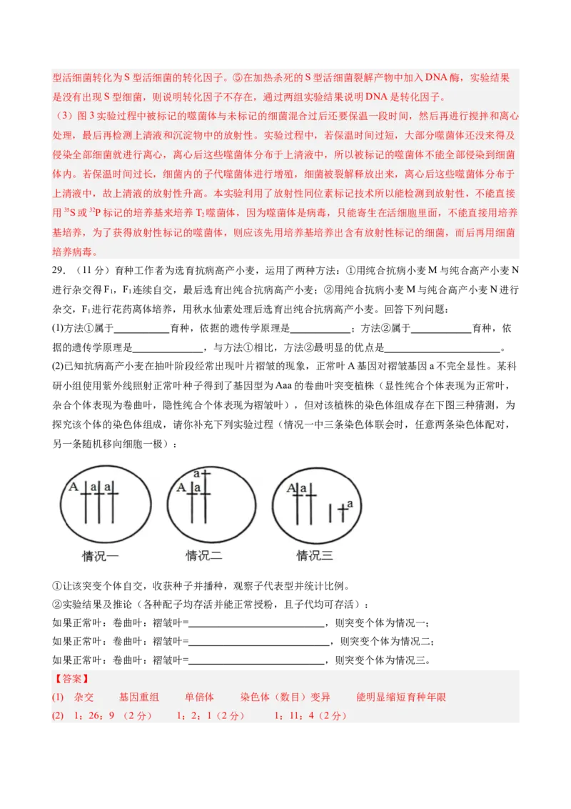 必修2模板检测卷（解析版）_2025年新高考资料_一轮复习_2025年高考生物一轮复习考点通关卷（新高考通用）_必修2模板检测卷-2025年高考生物一轮复习考点通关卷（新高考通用）
