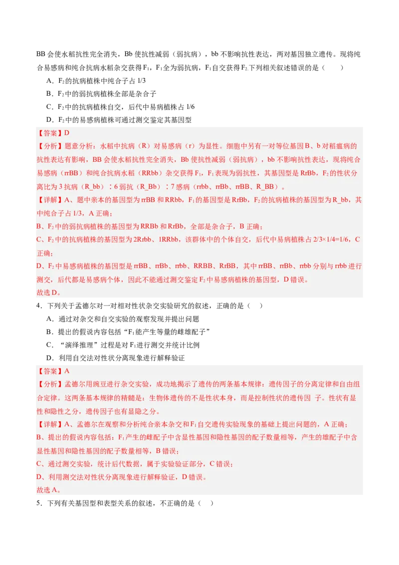 必修2模板检测卷（解析版）_2025年新高考资料_一轮复习_2025年高考生物一轮复习考点通关卷（新高考通用）_必修2模板检测卷-2025年高考生物一轮复习考点通关卷（新高考通用）