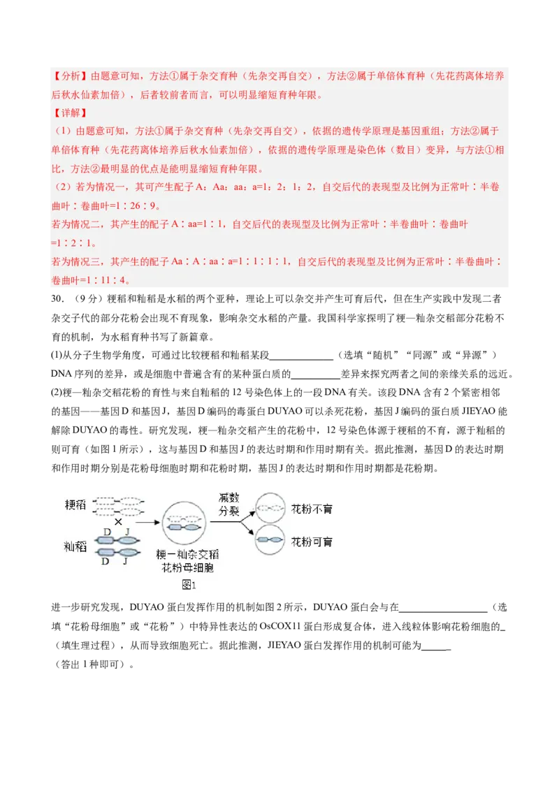 必修2模板检测卷（解析版）_2025年新高考资料_一轮复习_2025年高考生物一轮复习考点通关卷（新高考通用）_必修2模板检测卷-2025年高考生物一轮复习考点通关卷（新高考通用）