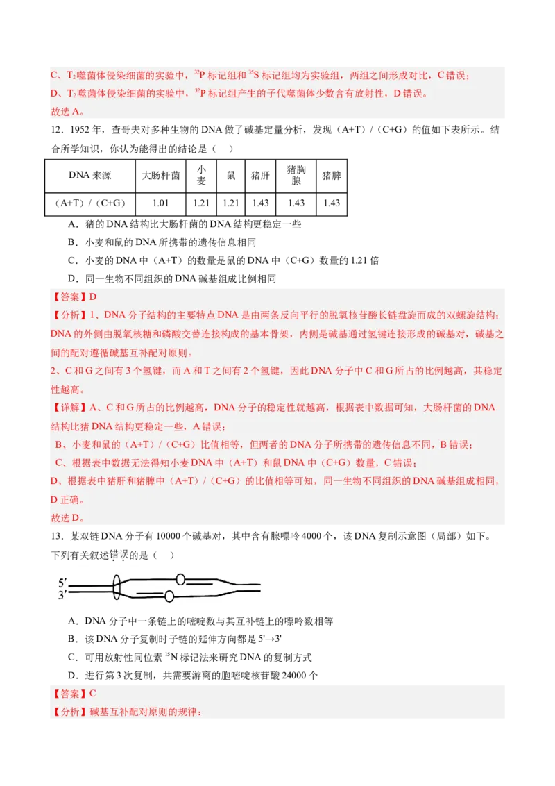必修2模板检测卷（解析版）_2025年新高考资料_一轮复习_2025年高考生物一轮复习考点通关卷（新高考通用）_必修2模板检测卷-2025年高考生物一轮复习考点通关卷（新高考通用）
