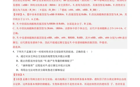必修2模板检测卷（解析版）_2025年新高考资料_一轮复习_2025年高考生物一轮复习考点通关卷（新高考通用）_必修2模板检测卷-2025年高考生物一轮复习考点通关卷（新高考通用）