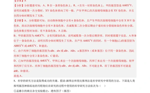 必修2模板检测卷（解析版）_2025年新高考资料_一轮复习_2025年高考生物一轮复习考点通关卷（新高考通用）_必修2模板检测卷-2025年高考生物一轮复习考点通关卷（新高考通用）