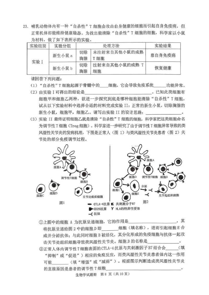 辽宁省抚顺市2025-2026学年高三下学期3月模拟考试生物试题_2024-2026高三（6-6月题库）_2026年03月高三试卷_260320辽宁省2026年抚顺市普通高三年级高考模拟考试（抚顺一模）（全科）