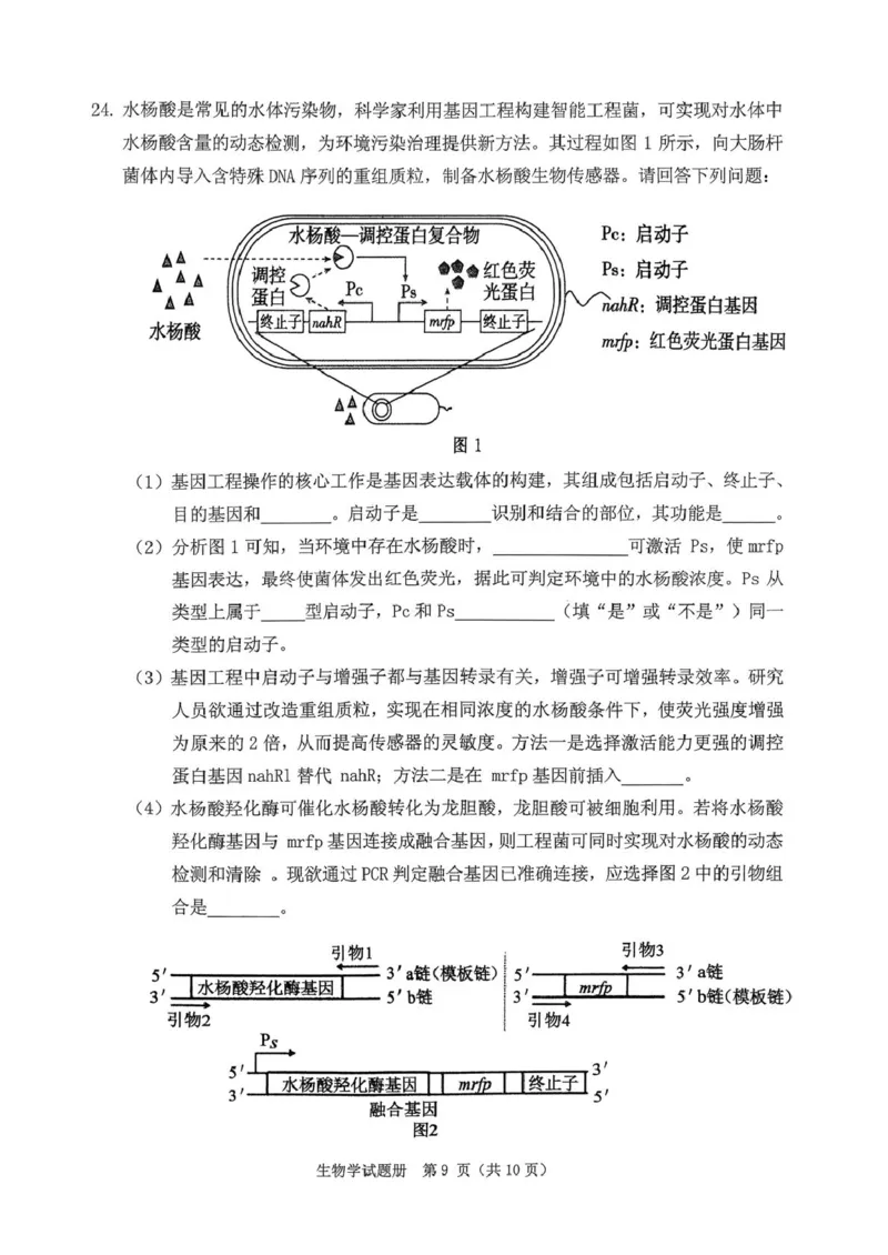 辽宁省抚顺市2025-2026学年高三下学期3月模拟考试生物试题_2024-2026高三（6-6月题库）_2026年03月高三试卷_260320辽宁省2026年抚顺市普通高三年级高考模拟考试（抚顺一模）（全科）