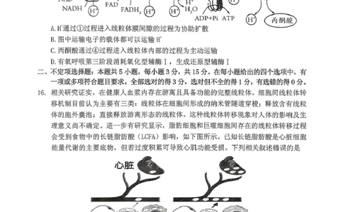 辽宁省抚顺市2025-2026学年高三下学期3月模拟考试生物试题_2024-2026高三（6-6月题库）_2026年03月高三试卷_260320辽宁省2026年抚顺市普通高三年级高考模拟考试（抚顺一模）（全科）