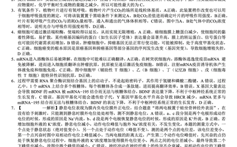 巴蜀中学2026届高考适应性月考卷（七）生物答案_2024-2026高三（6-6月题库）_2026年03月高三试卷_260324重庆市巴蜀中学2026届高考适应性月考卷（七）（全科）