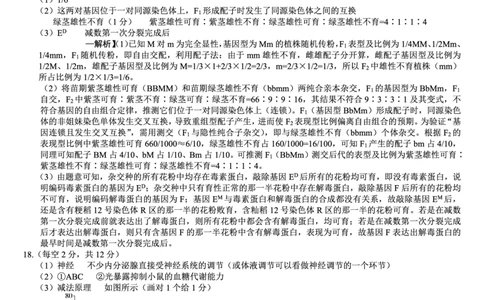 巴蜀中学2026届高考适应性月考卷（七）生物答案_2024-2026高三（6-6月题库）_2026年03月高三试卷_260324重庆市巴蜀中学2026届高考适应性月考卷（七）（全科）
