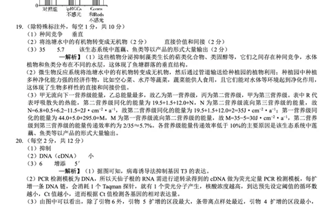 巴蜀中学2026届高考适应性月考卷（七）生物答案_2024-2026高三（6-6月题库）_2026年03月高三试卷_260324重庆市巴蜀中学2026届高考适应性月考卷（七）（全科）