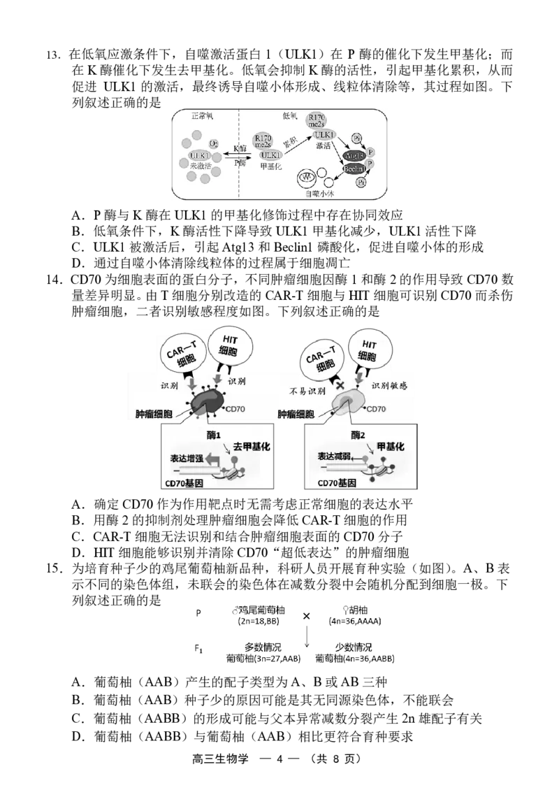 福州市2026届高中毕业班4月适应性练习生物_2024-2026高三（6-6月题库）_2026年04月高三试卷_260412福州市2026届高中毕业班4月适应性练习（全科）