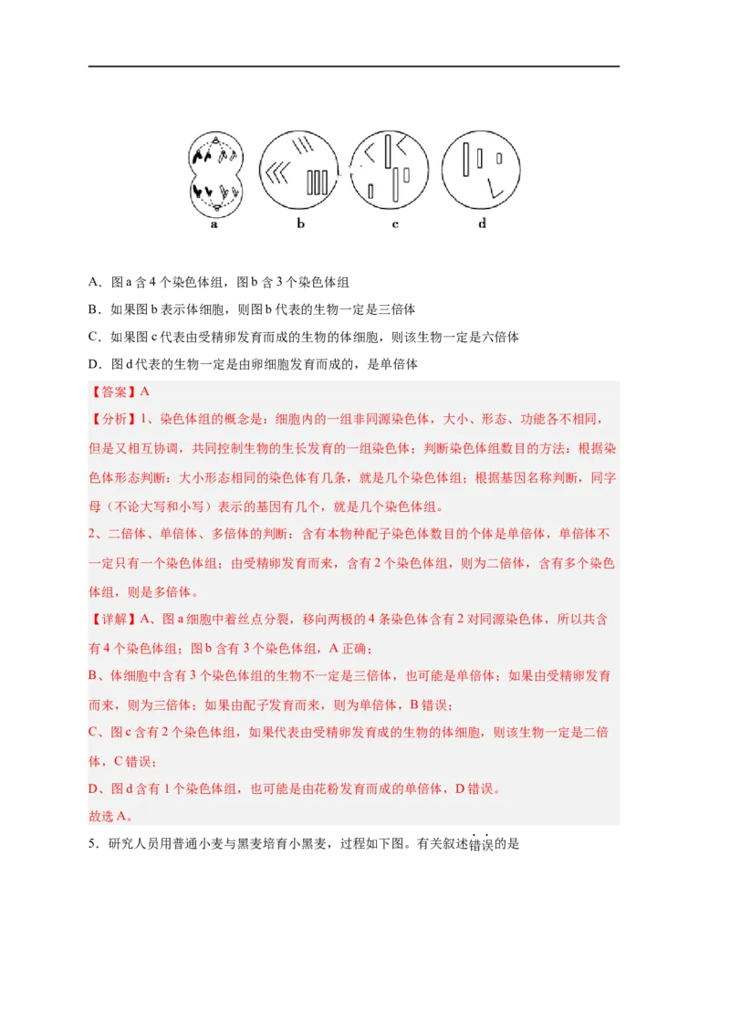 易错点18染色体变异及育种-备战2023年高考生物考试易错题（新教材新高考）（解析版）_新高考复习资料_2023年新高考复习资料_专项复习_备战2023年高考生物考试易错题（新教材新高考）