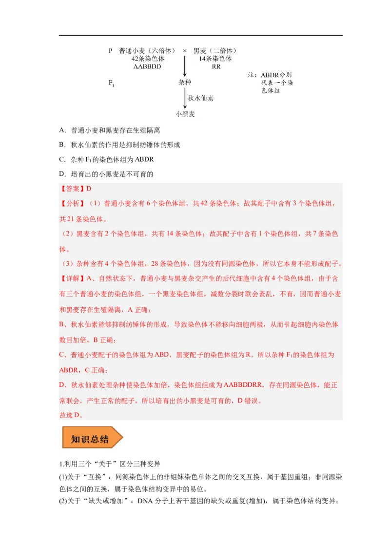 易错点18染色体变异及育种-备战2023年高考生物考试易错题（新教材新高考）（解析版）_新高考复习资料_2023年新高考复习资料_专项复习_备战2023年高考生物考试易错题（新教材新高考）