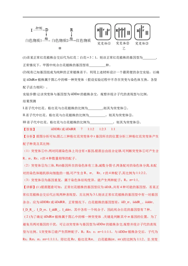 易错点18染色体变异及育种-备战2023年高考生物考试易错题（新教材新高考）（解析版）_新高考复习资料_2023年新高考复习资料_专项复习_备战2023年高考生物考试易错题（新教材新高考）