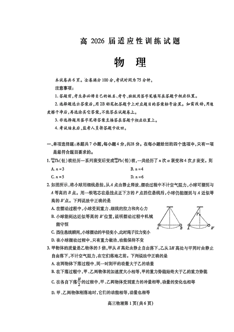 内江市高2026届适应性训练试题物理_2024-2026高三（6-6月题库）_2026年04月高三试卷_260427四川省内江市高2026届适应性训练试题（内江三模）（全科）