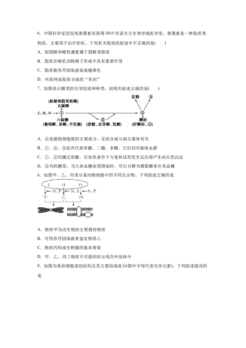易错点01组成细胞的分子-2021年高考生物一轮复习易错题（学生版）_新高考复习资料_2023年新高考复习资料_一轮复习_2023年新高考大一轮复习讲义_赠2021年高考生物一轮复习易错题