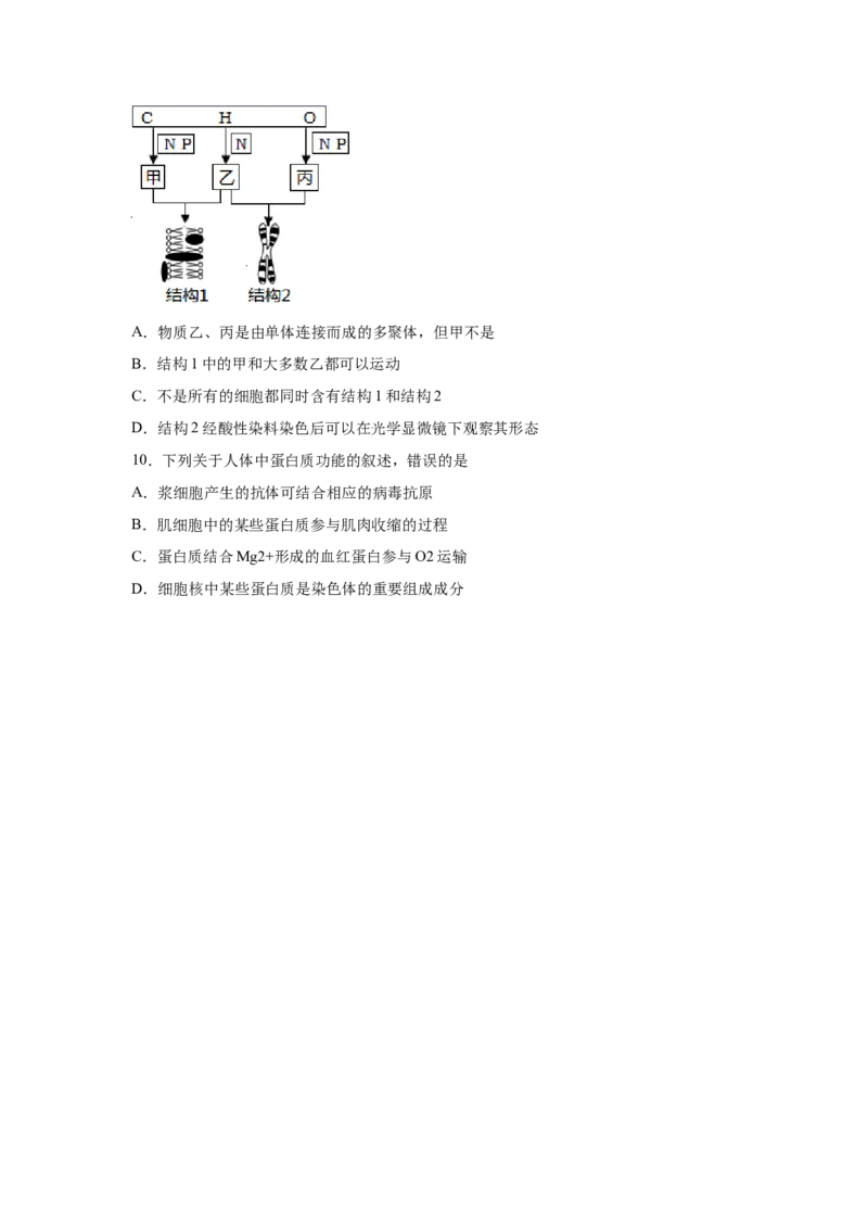 易错点01组成细胞的分子-2021年高考生物一轮复习易错题（学生版）_新高考复习资料_2023年新高考复习资料_一轮复习_2023年新高考大一轮复习讲义_赠2021年高考生物一轮复习易错题