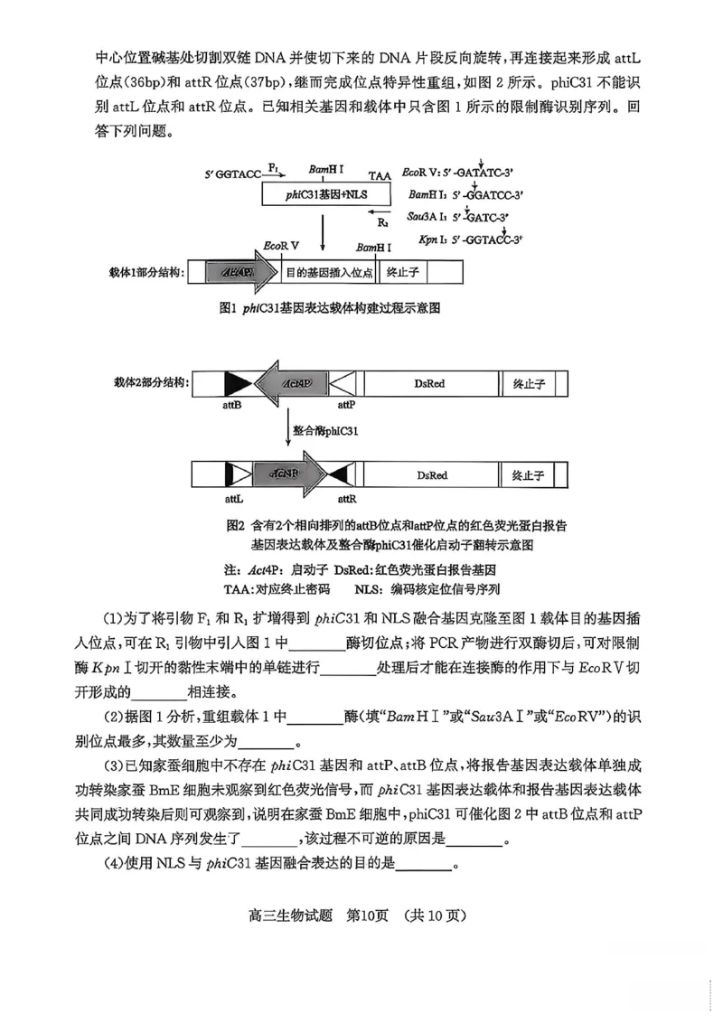 山东济南市2026届高三第二次模拟考试生物试题_2024-2026高三（6-6月题库）_2026年04月高三试卷_260418山东省济南市2026届高三第二次模拟考试（全科）