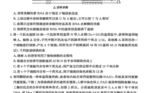 山东济南市2026届高三第二次模拟考试生物试题_2024-2026高三（6-6月题库）_2026年04月高三试卷_260418山东省济南市2026届高三第二次模拟考试（全科）
