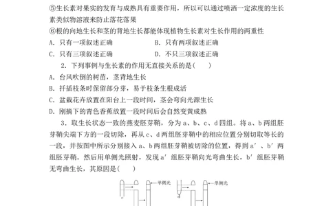 夯基提能练28植物的激素调节-备战2023高考生物一轮复习夯基提能练（全国通用）（解析版）_通用版（老高考）复习资料_2023年复习资料_一轮复习