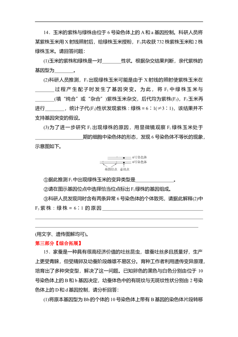 夯基提能练22染色体变异与育种-备战2023高考生物一轮复习夯基提能练（全国通用）（原卷版）_通用版（老高考）复习资料_2023年复习资料_一轮复习