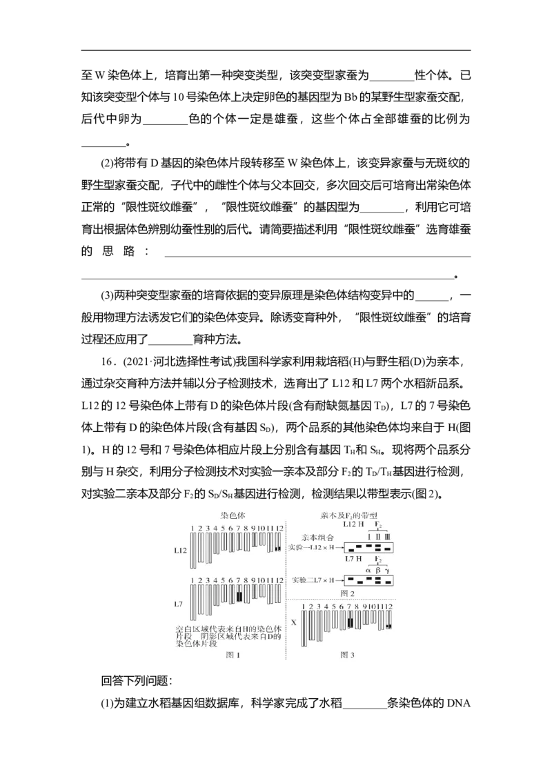 夯基提能练22染色体变异与育种-备战2023高考生物一轮复习夯基提能练（全国通用）（原卷版）_通用版（老高考）复习资料_2023年复习资料_一轮复习