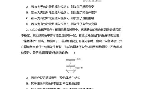 夯基提能练22染色体变异与育种-备战2023高考生物一轮复习夯基提能练（全国通用）（原卷版）_通用版（老高考）复习资料_2023年复习资料_一轮复习