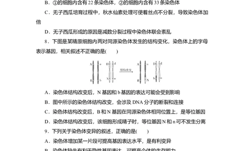 夯基提能练22染色体变异与育种-备战2023高考生物一轮复习夯基提能练（全国通用）（原卷版）_通用版（老高考）复习资料_2023年复习资料_一轮复习
