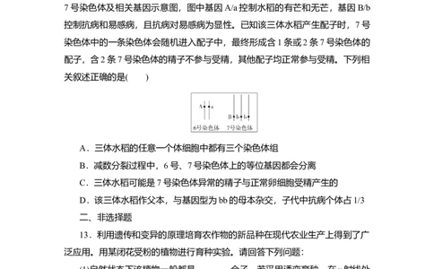夯基提能练22染色体变异与育种-备战2023高考生物一轮复习夯基提能练（全国通用）（原卷版）_通用版（老高考）复习资料_2023年复习资料_一轮复习