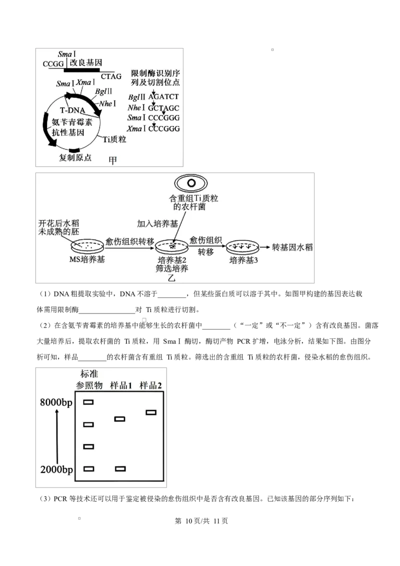精品解析：2026届四川省绵阳市涪城区四川省绵阳南山中学高三模拟预测生物试题（原卷版）_2024-2026高三（6-6月题库）_2026年03月高三试卷