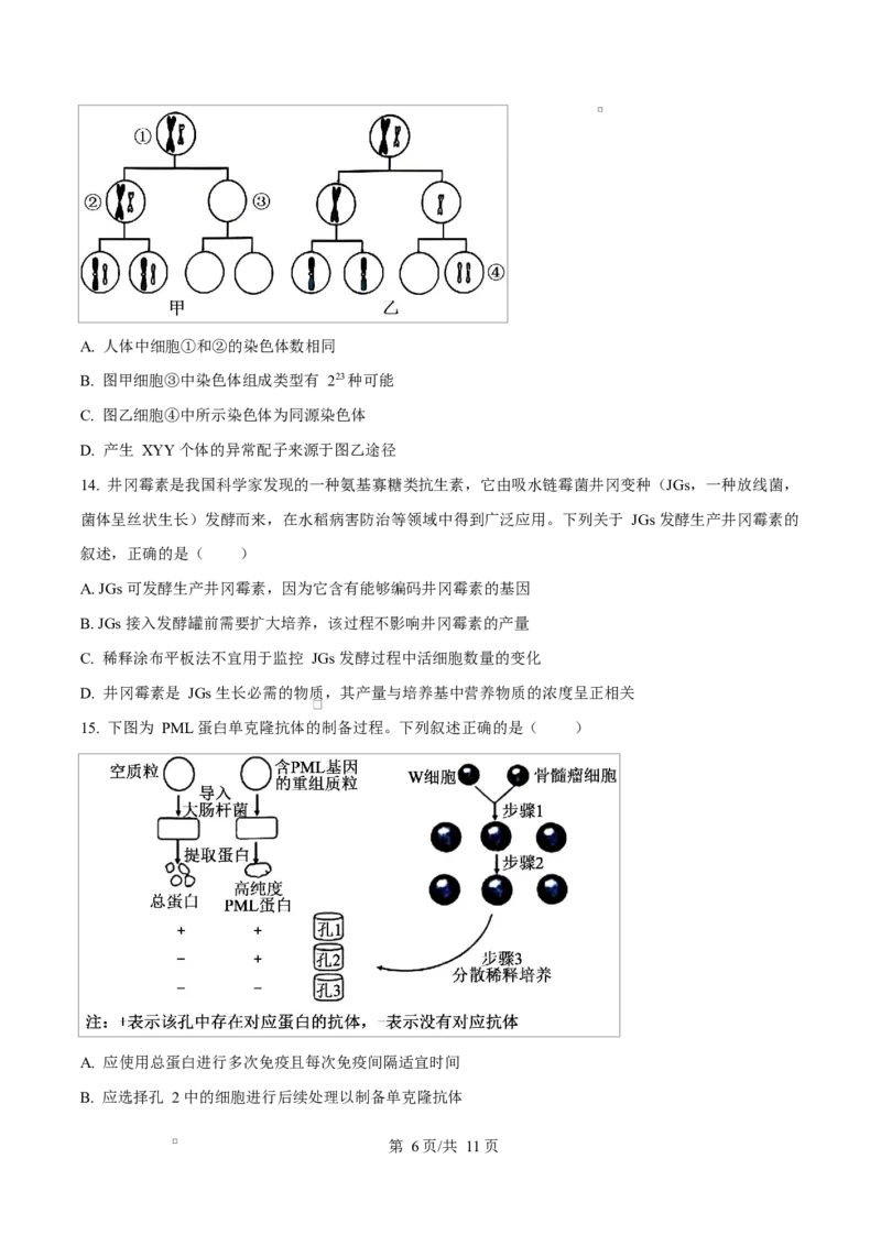 精品解析：2026届四川省绵阳市涪城区四川省绵阳南山中学高三模拟预测生物试题（原卷版）_2024-2026高三（6-6月题库）_2026年03月高三试卷