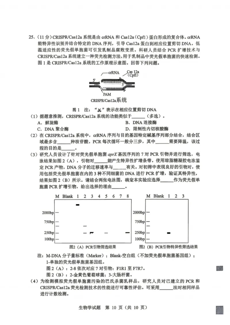 生物试卷-2026年黑龙江省哈尔滨市高考第一次模拟考试_2024-2026高三（6-6月题库）_2026年04月高三试卷_260411黑龙江省哈尔滨市2026届高三下学期第一次模拟考试（全科）