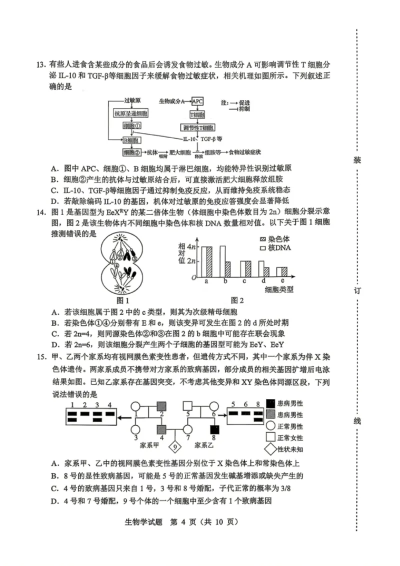 生物试卷-2026年黑龙江省哈尔滨市高考第一次模拟考试_2024-2026高三（6-6月题库）_2026年04月高三试卷_260411黑龙江省哈尔滨市2026届高三下学期第一次模拟考试（全科）