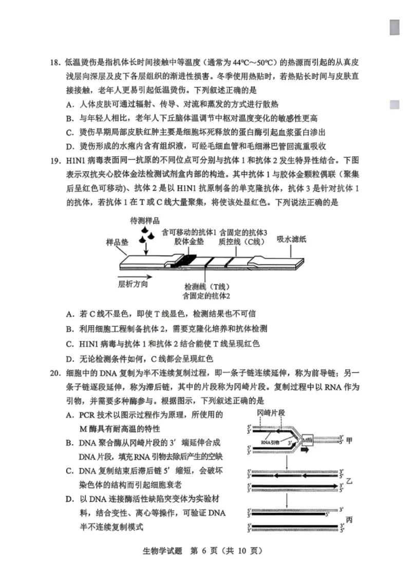 生物试卷-2026年黑龙江省哈尔滨市高考第一次模拟考试_2024-2026高三（6-6月题库）_2026年04月高三试卷_260411黑龙江省哈尔滨市2026届高三下学期第一次模拟考试（全科）