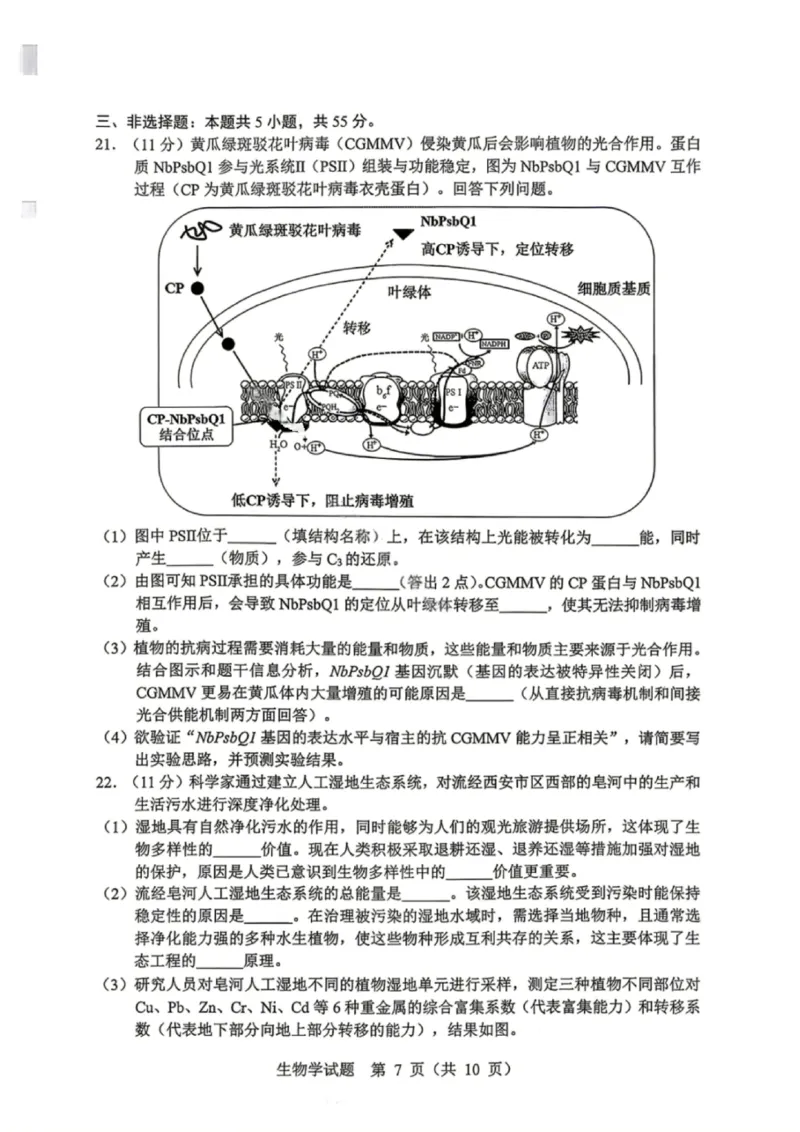 生物试卷-2026年黑龙江省哈尔滨市高考第一次模拟考试_2024-2026高三（6-6月题库）_2026年04月高三试卷_260411黑龙江省哈尔滨市2026届高三下学期第一次模拟考试（全科）