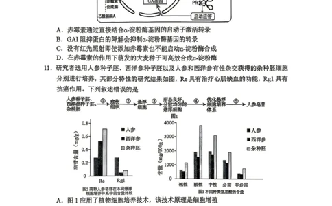 生物试卷-2026年黑龙江省哈尔滨市高考第一次模拟考试_2024-2026高三（6-6月题库）_2026年04月高三试卷_260411黑龙江省哈尔滨市2026届高三下学期第一次模拟考试（全科）