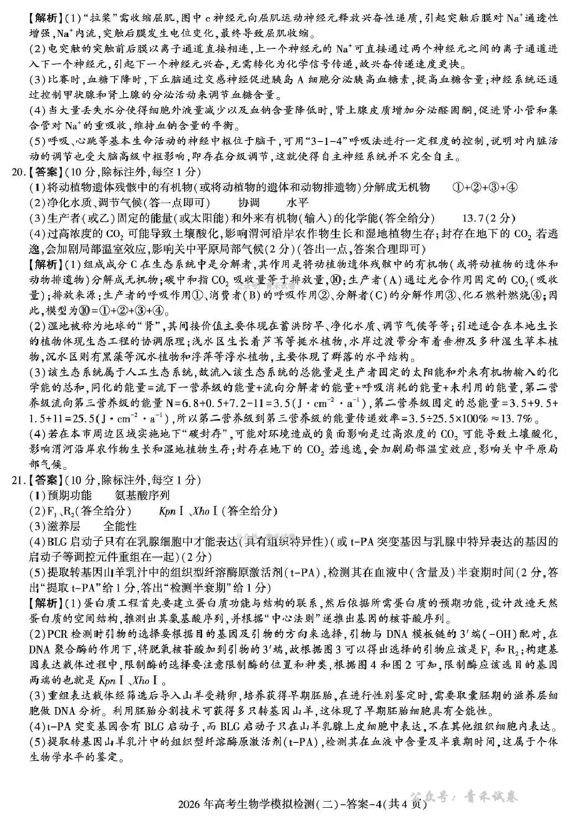 咸阳市2026年高考模拟检测（二）生物答案_2024-2026高三（6-6月题库）_2026年03月高三试卷_260330陕西省咸阳市2026年高考模拟检测（二）（全科）